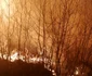 Incendiu vegetaţie la vărsarea Olăneştiului în Olt - în municipiul Râmnicu Vâlcea Foto ISU Vâlcea