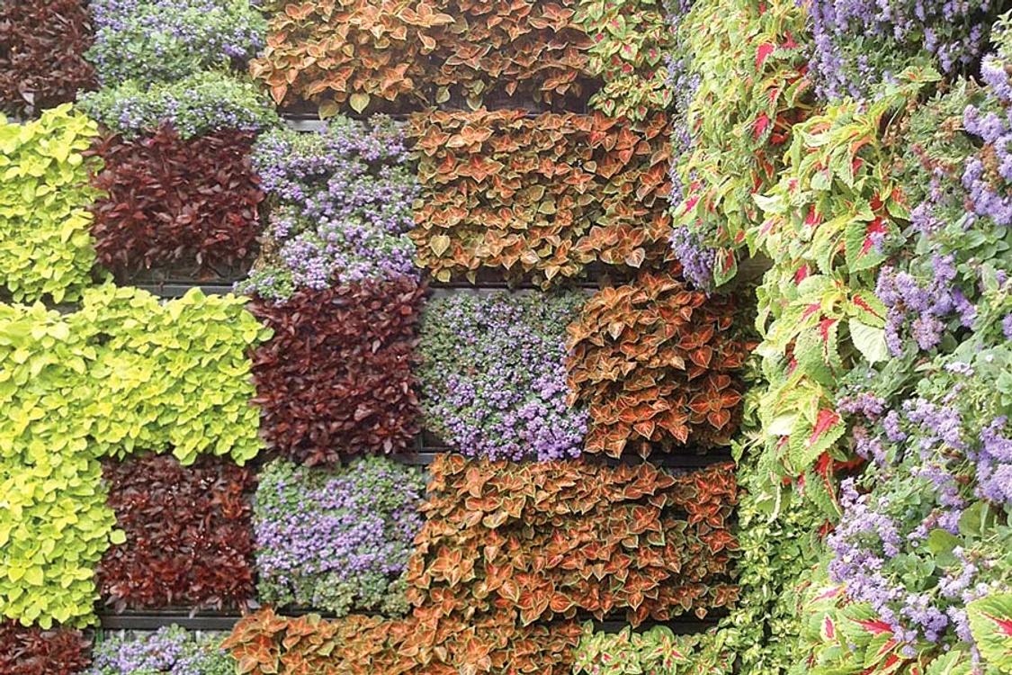 Aranjamentele florale de acest fel sunt o alegere  potrivită pentru cei  care locuiesc la curte