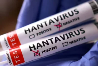 hantavirus who jpg