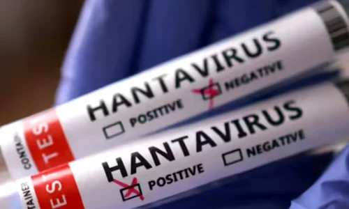 hantavirus who jpg