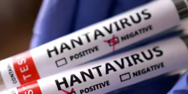 hantavirus who jpg