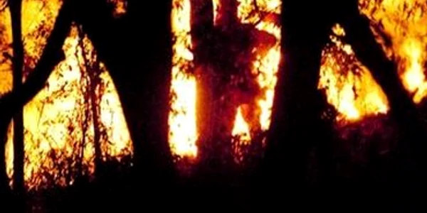 Incendiile din Queensland, posibile atacuri piromane