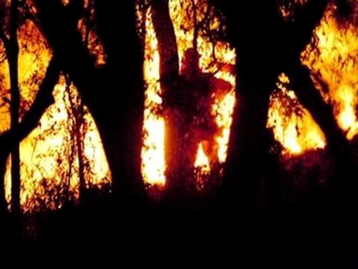 Incendiile din Queensland, posibile atacuri piromane