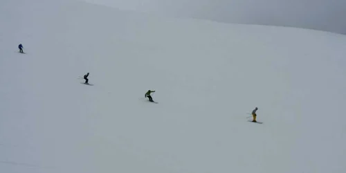 zapada