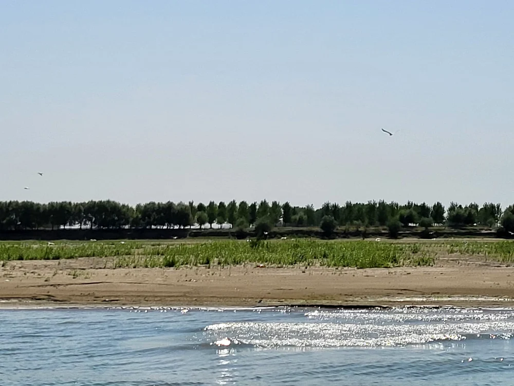 Insula de mijlocul Dunării de la Galați, obiectiv de atracție, sursa C Mazilu jpeg