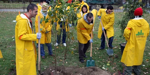 voluntari adevarul 