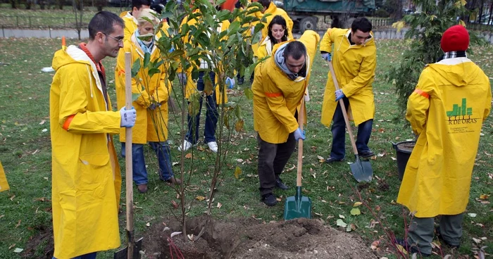 Voluntarii au şanse mai mari de a se angaja în companii FOTO Adevărul