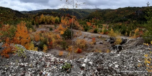 cariera craciuneasa foto daniel guta adevarul