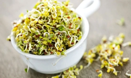 1 63254 original jpg jpeg