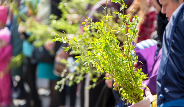 Traditii de Florii jpg