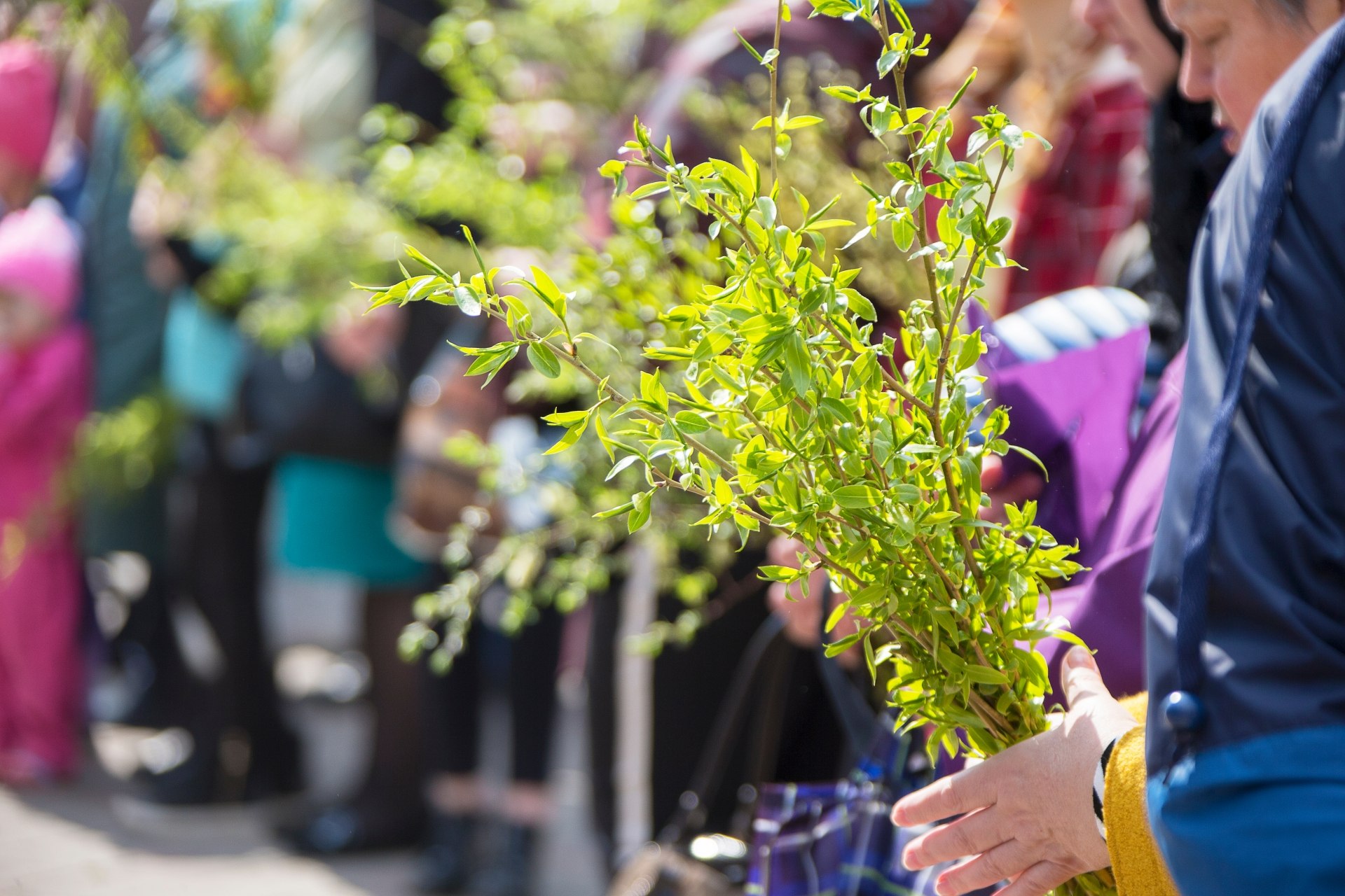 Aproape 1,8 milioane de români îşi sărbătoresc onomastica de Florii. Care sunt cele mai întâlnite nume
