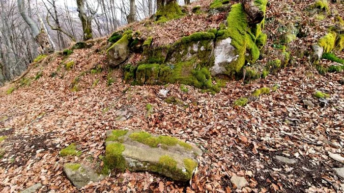 cetatea dacica blidaru foto aurora petan dacica ro