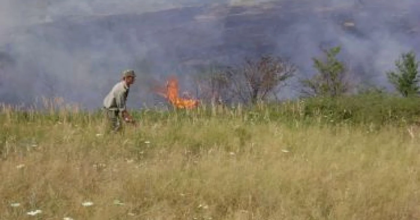 Turnu Severin: 30 de hectare de vegetaţie, mistuite de flăcări la Cujmir