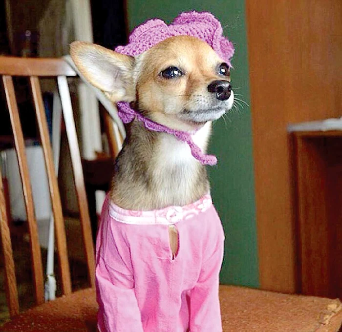 † Anastasia suferea de dizabilităţi psihice şi fizice