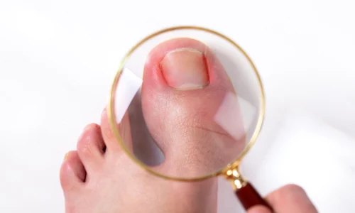 shutterstock 1382444321 jpg