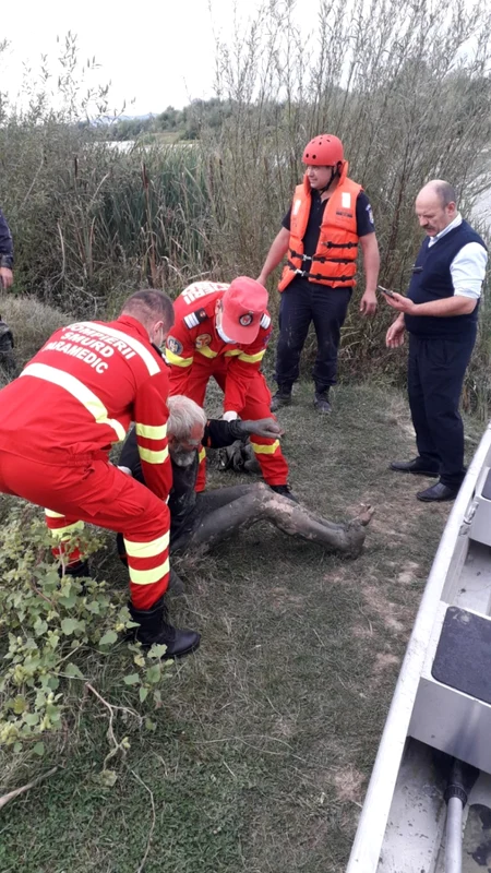 Om al străzii salvat din nămolul râului Olt în Râmnicu Vâlcea Foto Adevărul