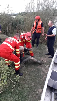 Om al străzii salvat din nămolul râului Olt în Râmnicu Vâlcea Foto Adevărul