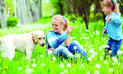 1 47271 original jpg jpeg