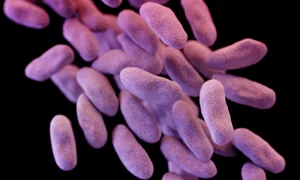 e coli jpeg