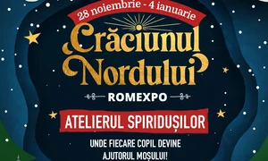 Copy of Poster atractii SM 3 jpg