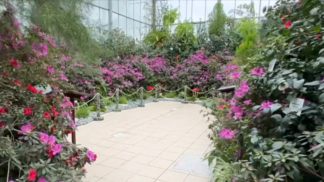 Grădina Botanică din Iași. 