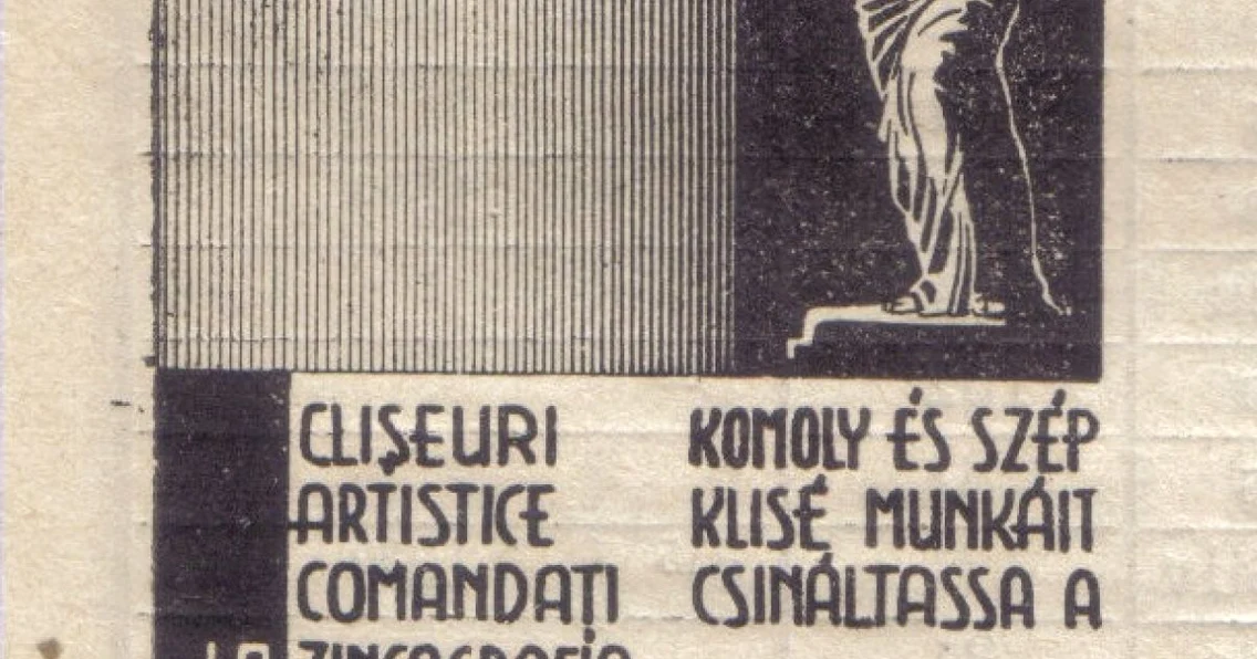 reclame bilingve clujene foto