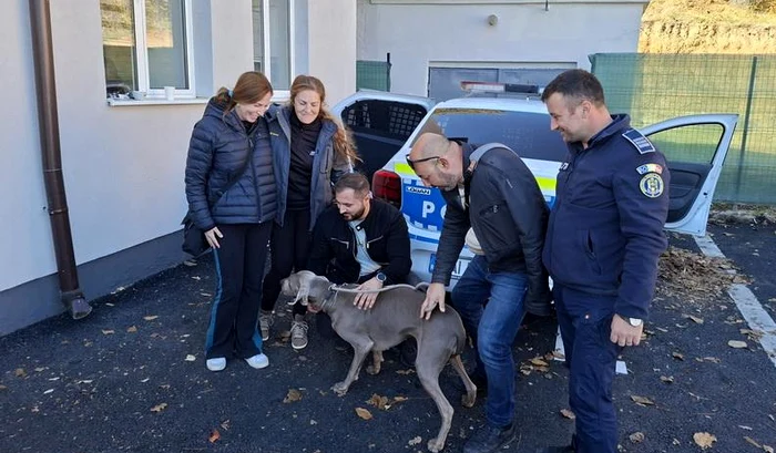 Animalul a fost transportat în siguranță la sediul poliției FOTO: eBihoreanul
