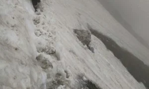 Ozana a trecut prin clipe groaznice pe Vârful Omu jpeg