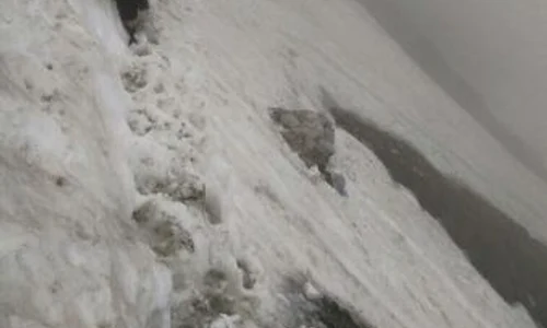 Ozana a trecut prin clipe groaznice pe Vârful Omu jpeg