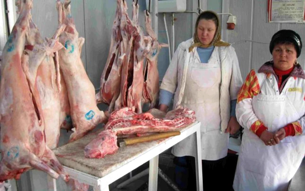 Varianta sacrificării mieilor în abatoare, spun crescătorii, îi ruinează FOTO: Arhiva