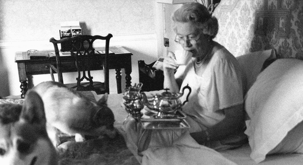 FOTO Regina Elisabeta a II-a iubea animalele. A avut peste 30 de câini și a crescut cai de curse