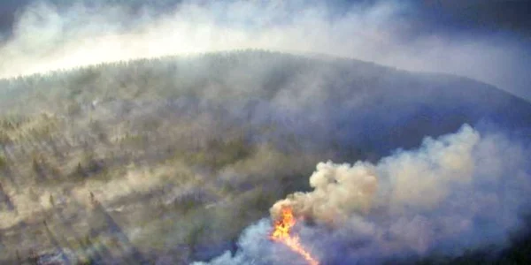 Pompieri din Sibiu, Alba şi Vâlcea încearcă să stingă incendiul care s-a întins cu repeziciune pe Transalpina