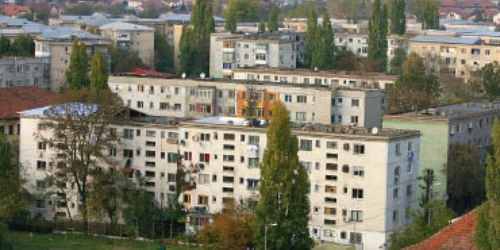 Chiriile, la loc repaus pe termen nedefinit