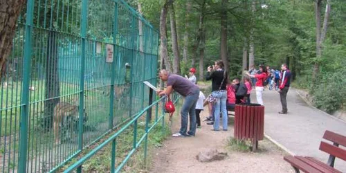 zoo sibiu