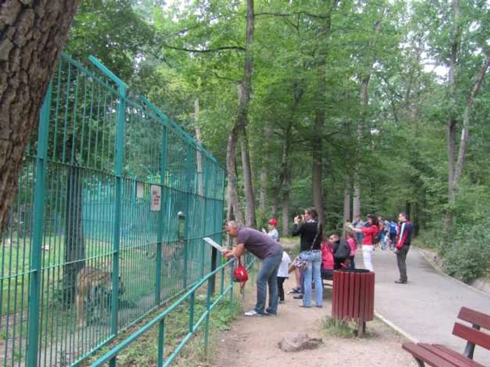 zoo sibiu