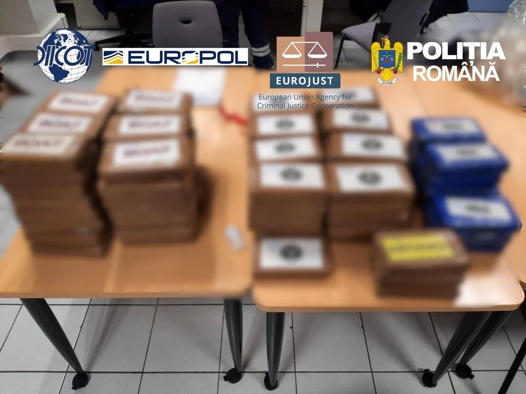 sroguri reteaua Matrix 1 jpeg