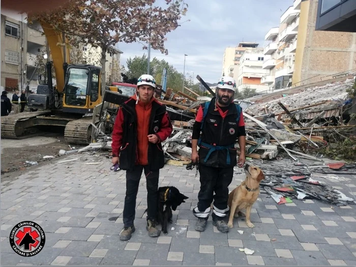 Cei doi câini sunt la datorie, căutând victime sub dărâmături. FOTO: CCU