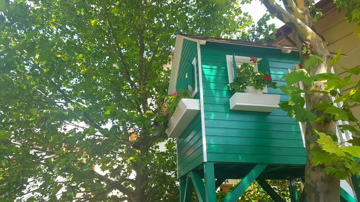 Andreea a pus flori la geamurile căsuţei