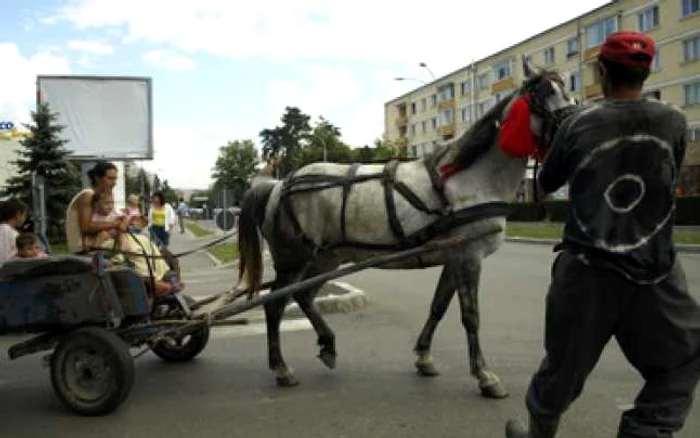 Hunedoara: Căruţaşii fac legea în centrul Devei