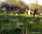 Roșia, Valea Geoagiului Foto Daniel Guță ADEVĂRUL (56) JPG