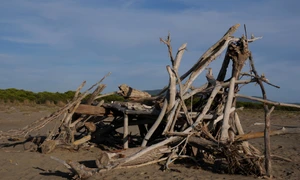 Rio + 20: sîntem pe cont propriu jpeg