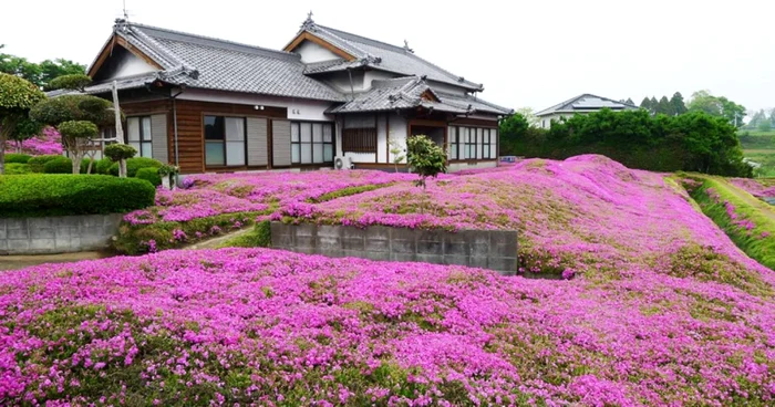 Casa soţilor Kuroki FOTO: Yoshiyuki Matsumoto/via boredpanda.com