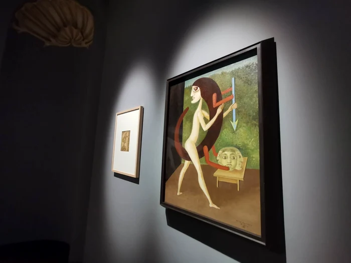 Expoziția Victor Brauner la Timișoara FOTO Ștefan Both