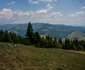 valea blaznei 6