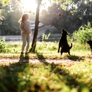 Caini la plimbare  Foto Freepik com jpg