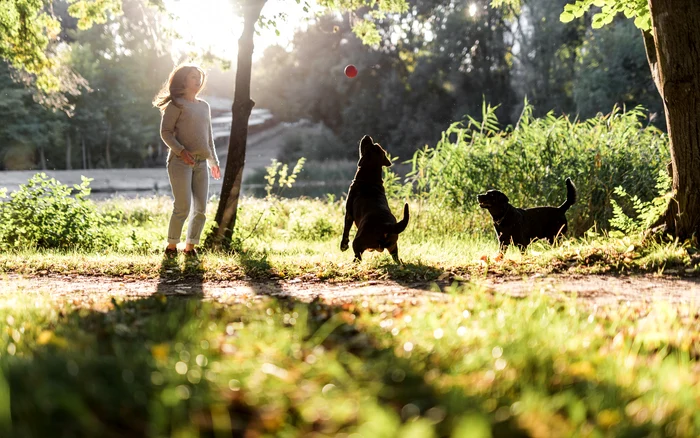 Iubitorii de animale sunt sfătuiți să fie prudenți în parcurile dedicate acestora. Foto: Freepik.com
