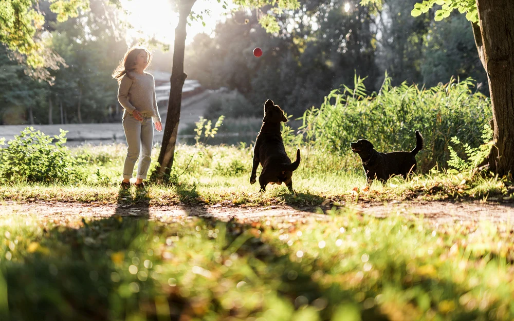 Cât de necesare sunt parcurile pentru câini: „Nu sunt locuri de socializare pentru oameni sau de stat cu ochii în telefon”