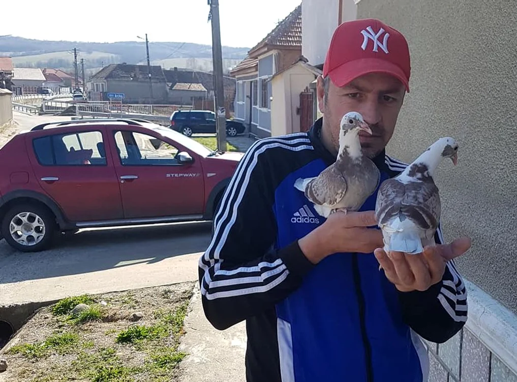 Tânărul este pasionat de creșterea porumbeilor FOTO Claudiu Petruț/ Facebook
