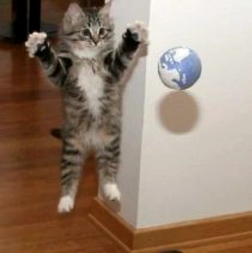 1 47149 original jpg jpeg