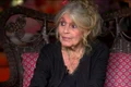brigitte bardot acum foto X BFMTV jpg